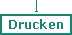 Druckversion